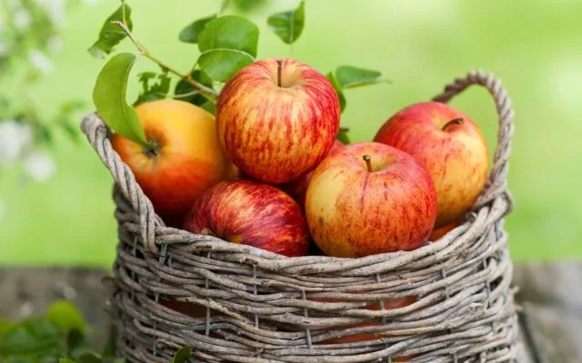 9 Makanan yang Bisa Bikin Kulit Lebih Cerah Bercahaya Secara Alami 13