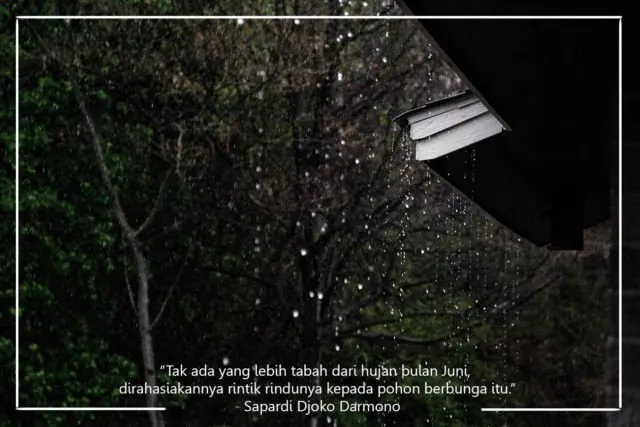 Kumpulan Quotes Tema Hujan yang Pas untuk Menemani Hari atau Dikirim ke Kekasih Hati 12
