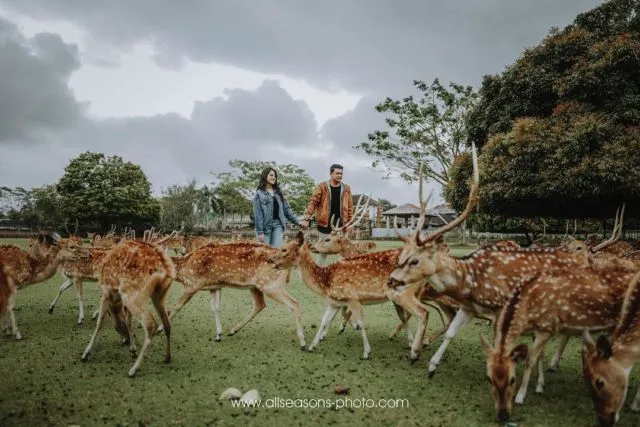 5 Destinasi Keren Tempat Kahiyang Ayu Foto Pre-Wedding. Bikin Baper Deh! 8