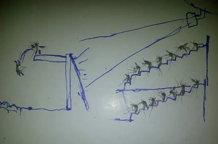 Cuma Modal Waktu Luang dan Nyamuk-Nyamuk Nakal, Kamu Bisa Bikin Karya Menakjubkan Kayak Gini Lho~ 20