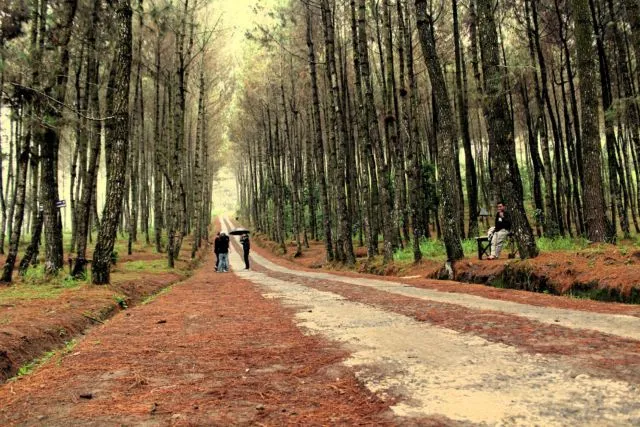 7 Destinasi Kekinian untuk Liburan Akhir Tahun. Supaya Feeds Instagrammu Nggak Pasaran 13
