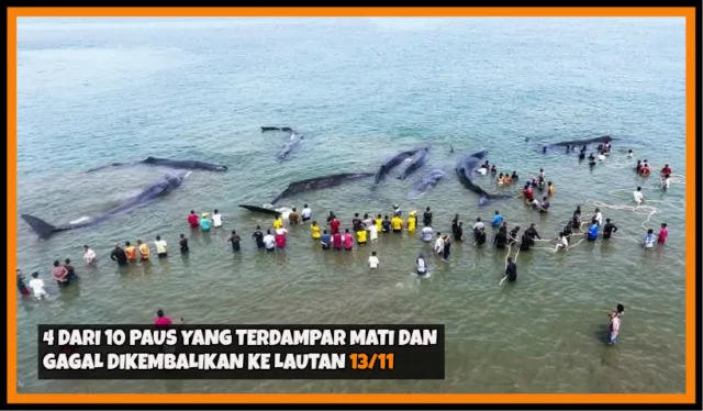 Deretan Berita Populer Mingguan Hadir Lagi. Dari Papa Setnov Sampai Dance Viral, Ada di Sini 15