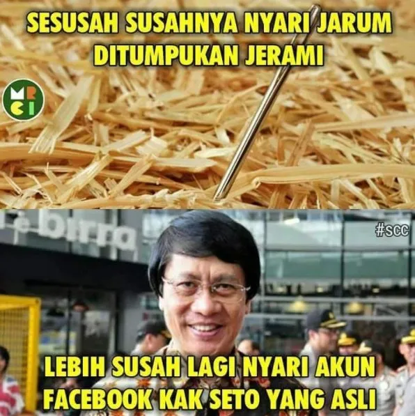 17 Meme dan Komentar Kak Seto Palsu di Media Sosial Ini Bikin Ngakak! Kerjaan Siapa Nih? 18