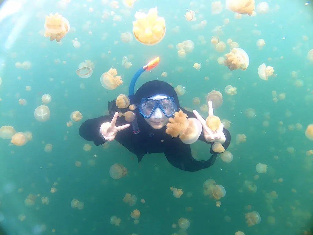 Sekali Seumur Hidup Kamu Harus ke Pulau Derawan dan Renang sama Ubur-ubur, Ini Bocoran Budgetnya!
