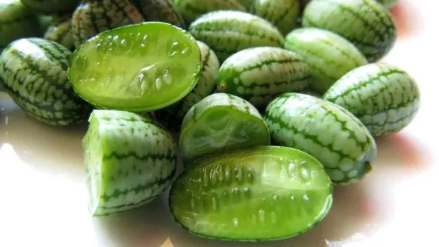 Bukan Hanya Mangga Alpukat, 10 Varian Buah Hasil Persilangan Ini Nggak Kalah Uniknya. Penasaran Deh! 20