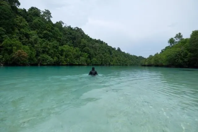 Sekali Seumur Hidup Kamu Harus ke Pulau Derawan dan Renang sama Ubur-ubur, Ini Bocoran Budgetnya! 12
