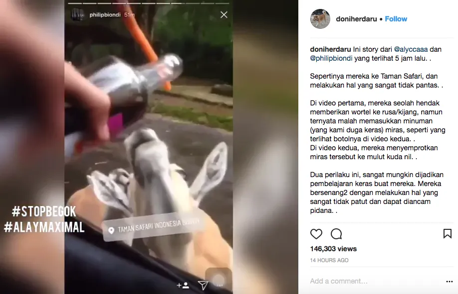 Kunjungi Taman Safari, 'Anak-Anak Gaul' Ini Cekoki Satwa dengan Alkohol. Tega Banget Sih! 5