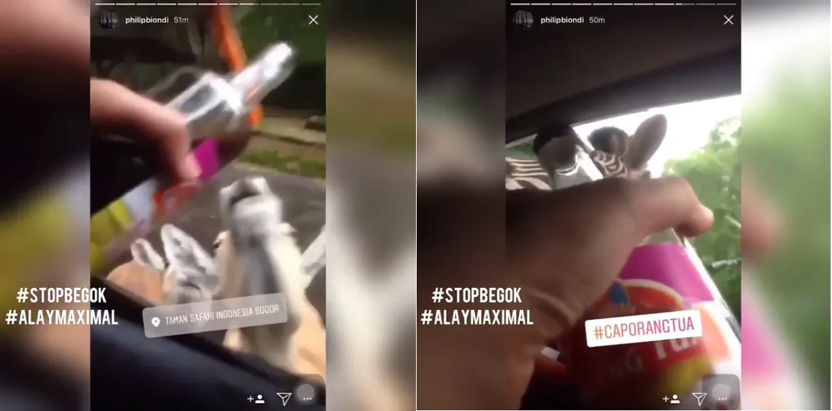 Kunjungi Taman Safari, 'Anak-Anak Gaul' Ini Cekoki Satwa dengan Alkohol. Tega Banget Sih! 8
