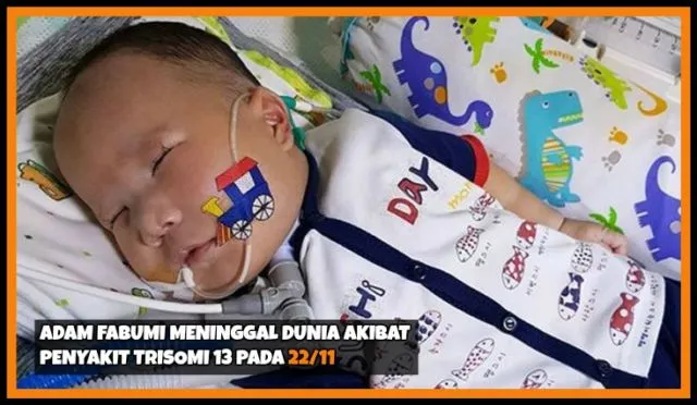 Rangkuman Berita Populer Minggu Ini. Jangan Sampai Kelewatan Informasi Terkini 19