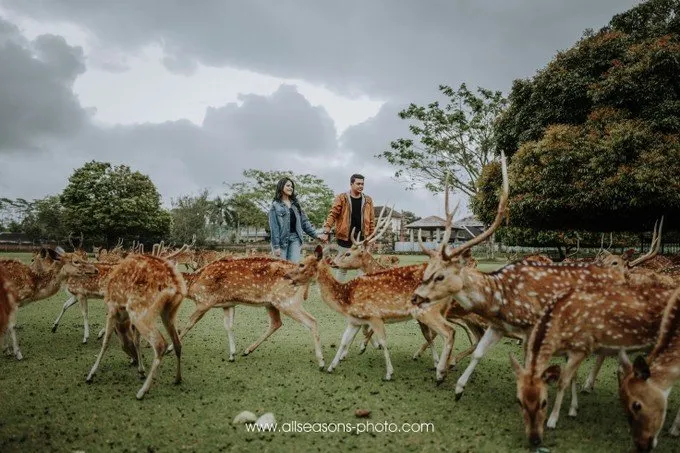 Membahas A-Z Pre-Wedding Kahiyang dan Bobby. Penasaran 'Kan Kenapa Bisa Cucok Meong Begini? 15