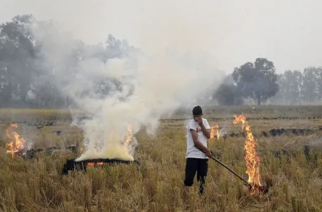Polusi di Kota Ini Bikin Dunia Tercengang, Napas Aja Sama Kayak Hisap 44 Rokok Dalam Sehari! 13