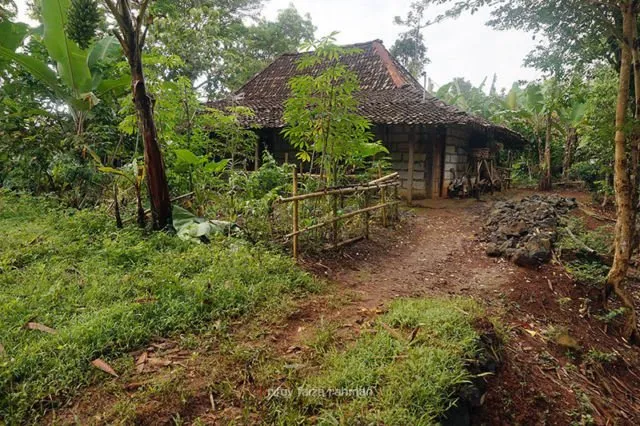 Mengenal Kampung Pitu, Desa Mistis di Gunung Kidul yang Konon Hanya Bisa Dihuni 7 Kepala Keluarga 7