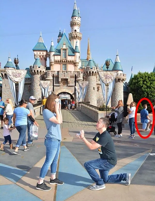 Foto yang Gagal Nggak Selamanya Buruk. 16 Photobomb ini Justru Punya Cerita Lain yang Lebih Menarik 22