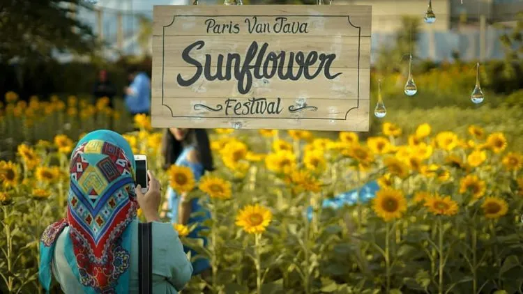 Kebun Bunga Matahari di Paris van Java, Bandung. Destinasi 'Zaman Now' yang Harus Kamu Datangi! 6
