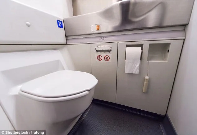 Konyol Sih, Pesawat Ini Harus Mendarat Darurat Karena Toilet Mampet. Begini Kronologisnya! 4