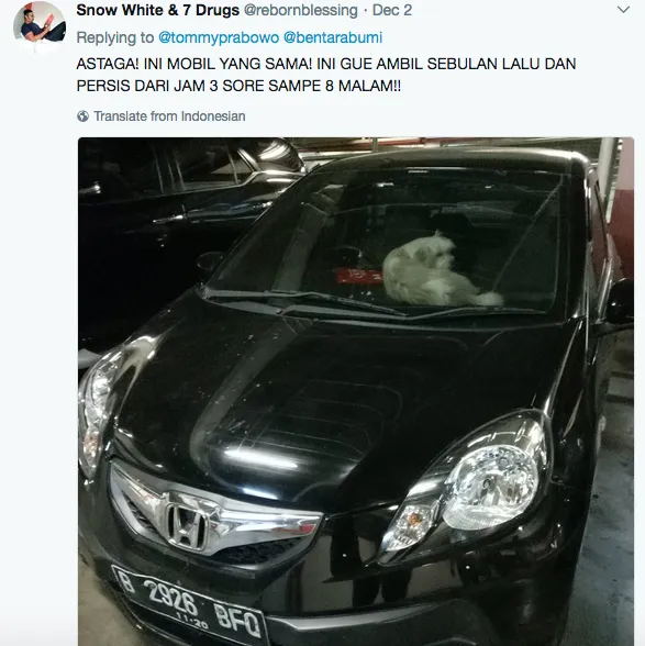 Warganet Lain Juga Pernah Pergoki Valent Ditinggal dalam Mobil. Anjing Ini Emang Perlu Diselamatkan! 7