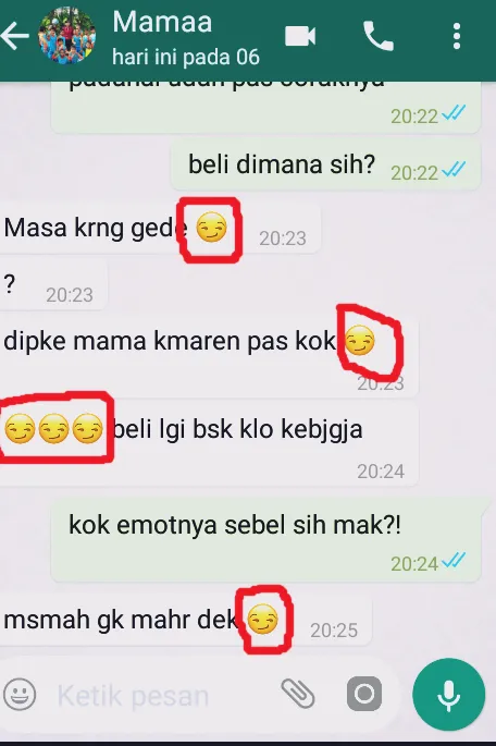 11 Hal yang Pasti Dilakukan Ibu Saat Baru Bisa Menggunakan WhatsApp. Kesel, Lucu, dan Bikin Rindu! 13