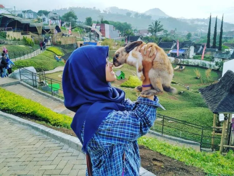 Taman Kelinci Malang, Destinasi Kekinian yang Hits Bagaikan Negeri Dongeng! 8