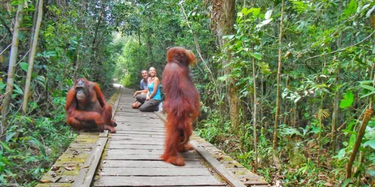 9 Surga Tersembunyi yang Bisa Kamu Kunjungi Bersama Pasangan. Indah, Seru dan Mengagumkan! 11