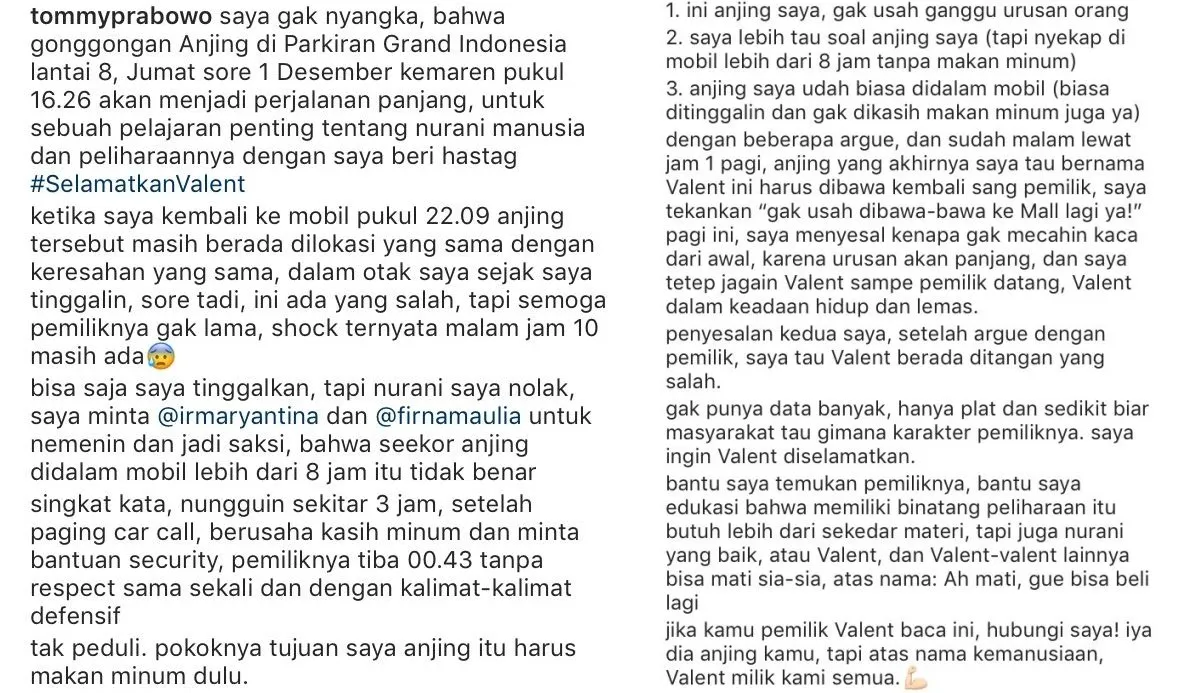 Warganet Lain Juga Pernah Pergoki Valent Ditinggal dalam Mobil. Anjing Ini Emang Perlu Diselamatkan! 5