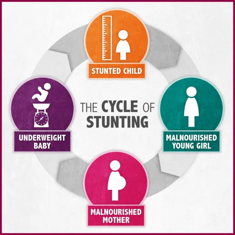 5 Hal Penting Mengenai Stunting; Kondisi Anak Gagal Tumbuh Karena Berbagai Faktor! 6