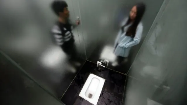 Bukan Revolusi Politik atau Ekonomi, Presiden Cina Justru Sedang Sibuk Tangani Revolusi Toilet 20