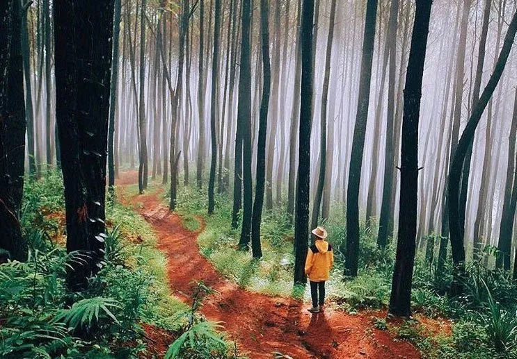 10 Destinasi Ini Paling Populer di Instagram di Tahun 2017. Mana yang Sudah Kamu Datangi?