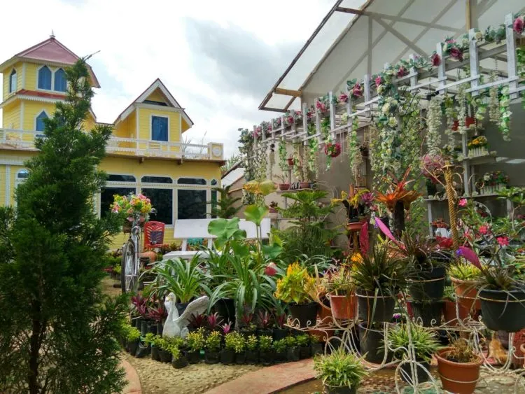 Green House Lezatta, Destinasi Kekinian dan Warna-warni yang Bikin Enggan Pulang! 13