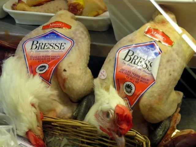 Penampakan Ayam Termahal di Dunia. Satu dari Indonesia, Satu dari Perancis, Harganya Gila-gilaan 10