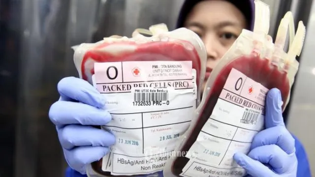 Yang Masih Takut Donor Darah, Simak Deh Cerita Ini! Ada Penghargaan Khusus Bagi yang Dermawan Darah 7