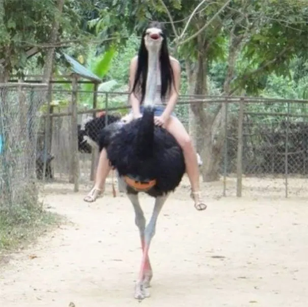 Percaya Nggak Kalau 15 Foto Ini Bisa Bikin Kamu Geleng-Geleng Kepala? Semua Karena Timing yang Pas! 29