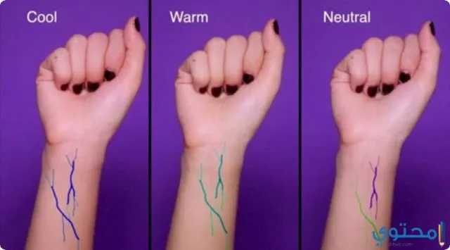 5 Tes Cara Menentukan Undertone Kulit dengan Mudah 8