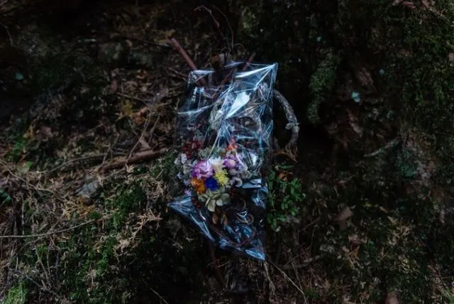 Lihat Lebih Dekat Hutan Aokigahara. Hutan yang Terkenal di Seluruh Jepang untuk Melakukan Bunuh Diri 8