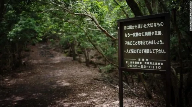 Lihat Lebih Dekat Hutan Aokigahara. Hutan yang Terkenal di Seluruh Jepang untuk Melakukan Bunuh Diri 5