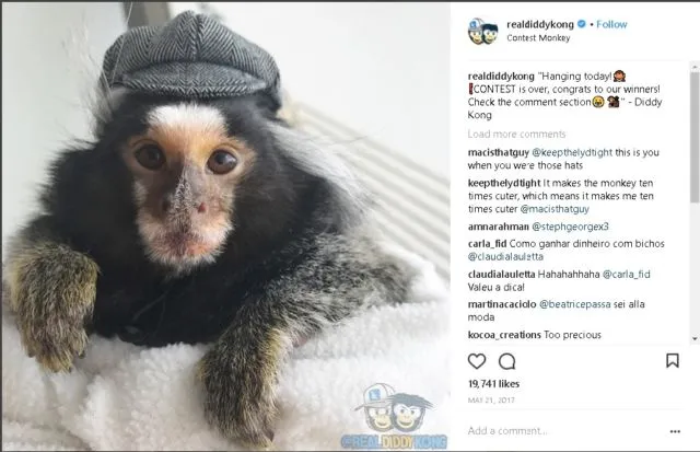 9+ Akun Instagram Hewan Peliharaan yang Layak Kamu Ikuti. Lihat Foto Lucu Mereka Bikin Adem di Hati 15