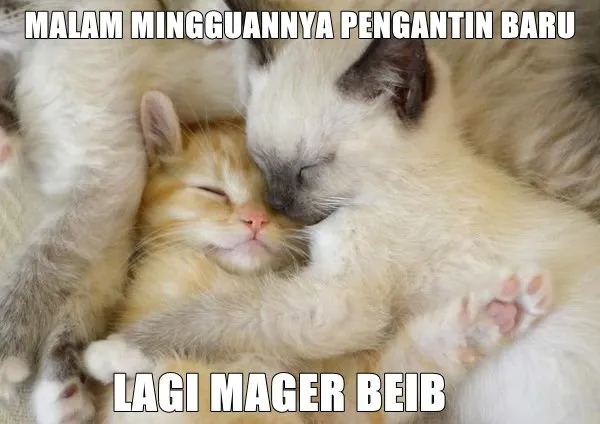9+ Meme Mager yang Bikin Kamu Makin Semangat buat Nggak ke Mana-Mana. Eits, Jangan Baca di Hari Senin! 20