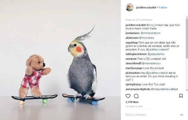 9+ Akun Instagram Hewan Peliharaan yang Layak Kamu Ikuti. Lihat Foto Lucu Mereka Bikin Adem di Hati 19