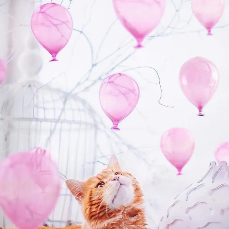 Fotografi Balon, Tren Foto Traveling yang Bakal Hits di Instagram Tahun 2018. Cobain Yuk! 15