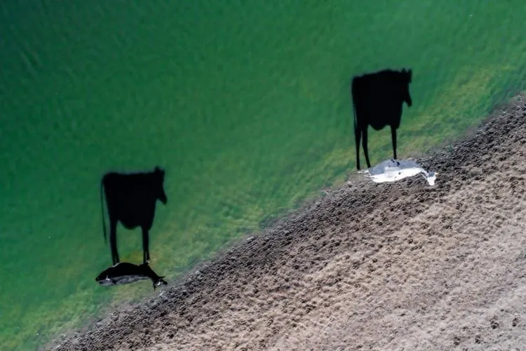 12 Foto Drone Terbaik di Tahun 2017. Referensi Buat Kamu yang Pengen Jago Pake Drone! 22