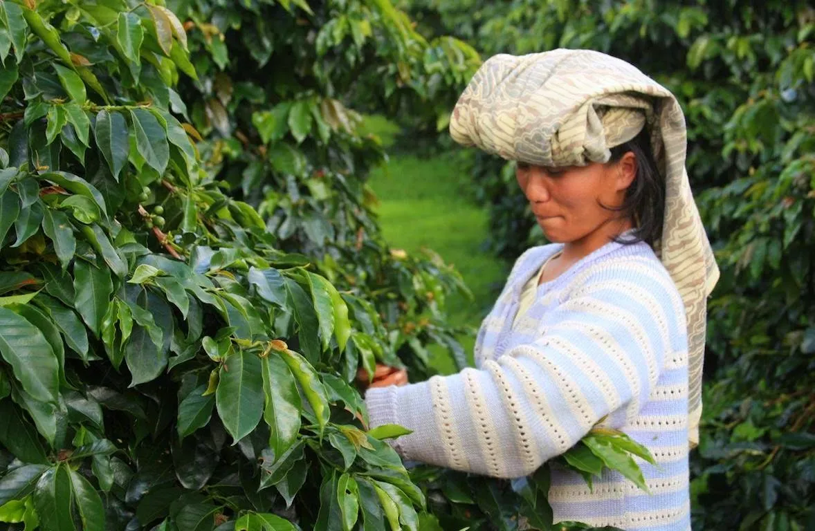 KAI Bagi-bagi 50 Ribu Cangkir Kopi Gratis Buat Penumpang. Kamu Perlu Tahu Alasannya 7