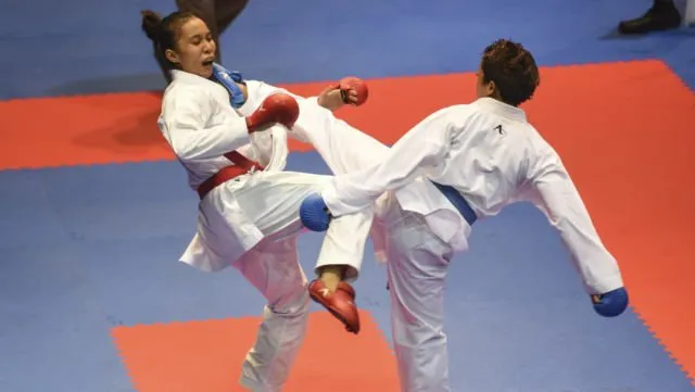 Masih Ingat Tendangan Kungfu Wali Kota Mataram? Mungkin 5+ Profesi Ini Bisa Dicoba Saat Pensiun Nanti 7