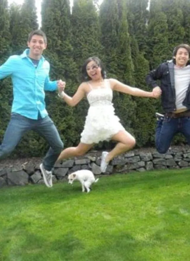 23 Photobomb dengan Hewan sebagai Biang Keroknya, Mau Mengumpat tapi Mereka Sendiri Udah Binatang :( 29