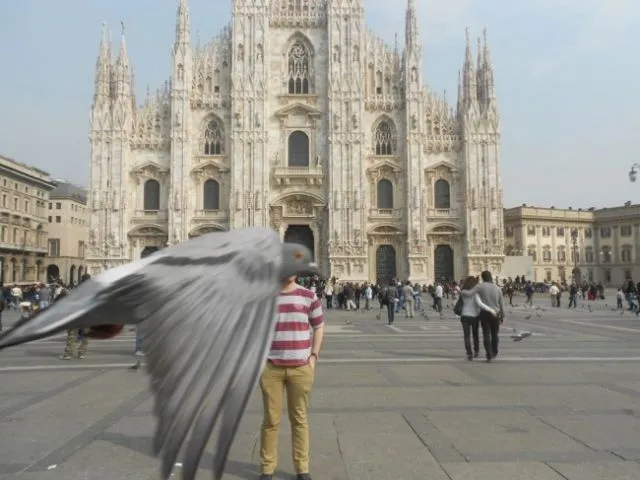 23 Photobomb dengan Hewan sebagai Biang Keroknya, Mau Mengumpat tapi Mereka Sendiri Udah Binatang :( 25
