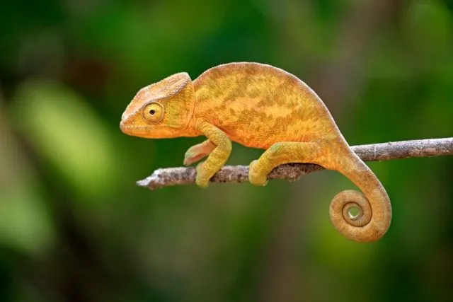 9+ 'Fakta' Keliru yang Banyak Dipercaya Orang. Simak Sebelum Kamu Terlambat Menyadari! 18