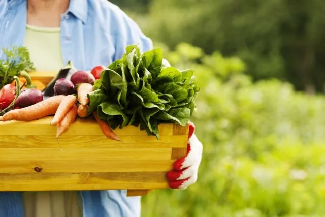 Dari Low-Fat sampai Low-Sugar, Fakta di Balik Label Produk Makanan yang Makin Beragam 30