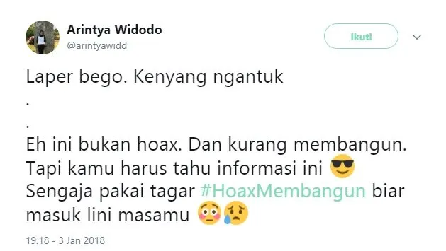 Tak Mau Ambil Pusing Soal Ujaran Kepala BSSN yang Baru, Warganet Usung Tagar #HoaxMembangun. Kocak! 40