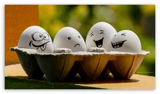 Banyak Orang Sepakat Bahwa Telur itu Enak, Tapi Apa Kamu Tega Makan Telur yang Diolah Seperti ini? 25