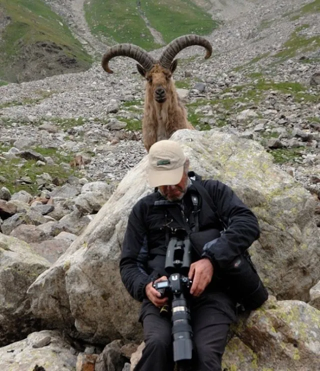 23 Photobomb dengan Hewan sebagai Biang Keroknya, Mau Mengumpat tapi Mereka Sendiri Udah Binatang :( 37