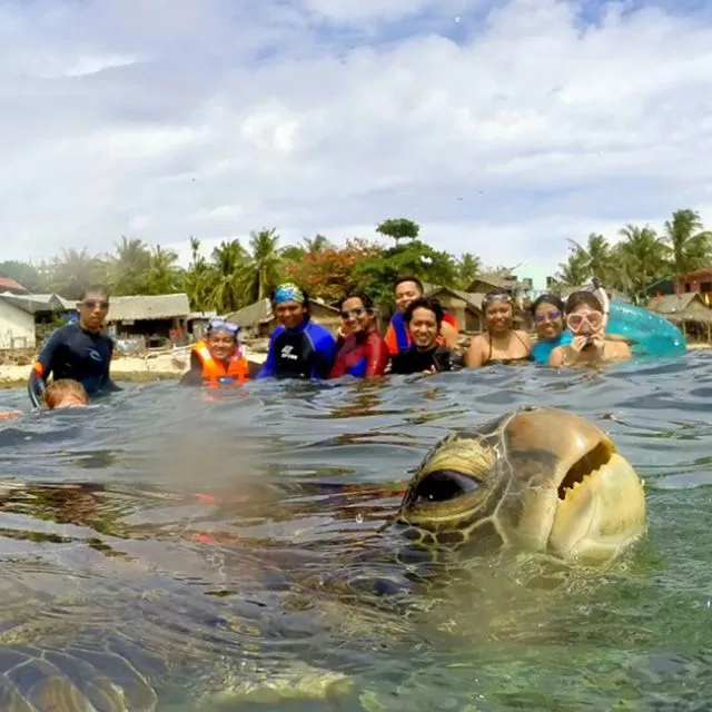 23 Photobomb dengan Hewan sebagai Biang Keroknya, Mau Mengumpat tapi Mereka Sendiri Udah Binatang :( 42