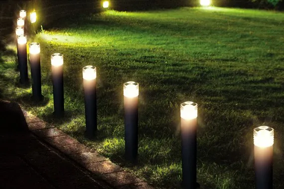 Masa Depan Udah di Depan Mata. Ilmuwan Baru Ciptakan Tanaman Bercahaya Pengganti Lampu Nih! 16